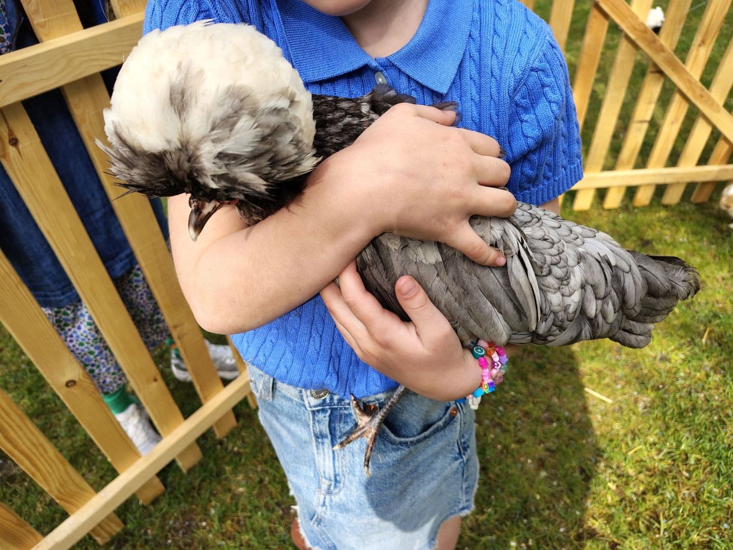 Mobiele kinderboerderij - 't Boerderhof